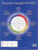 DISC behavioral career assessment Tests